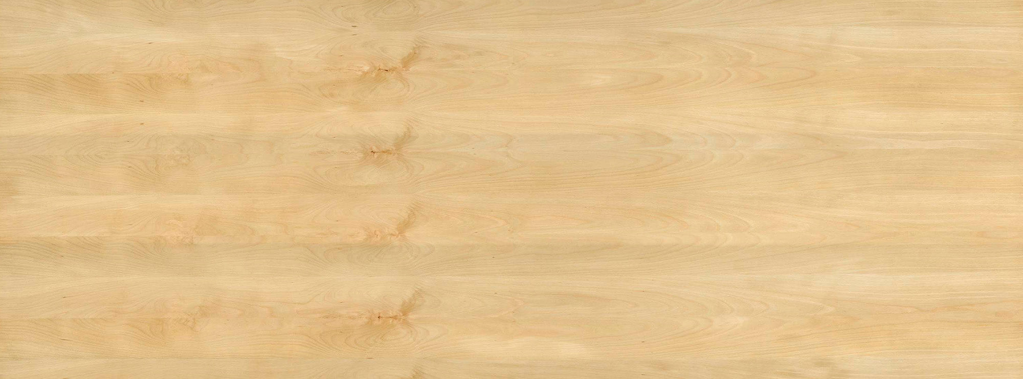 Beech Textures