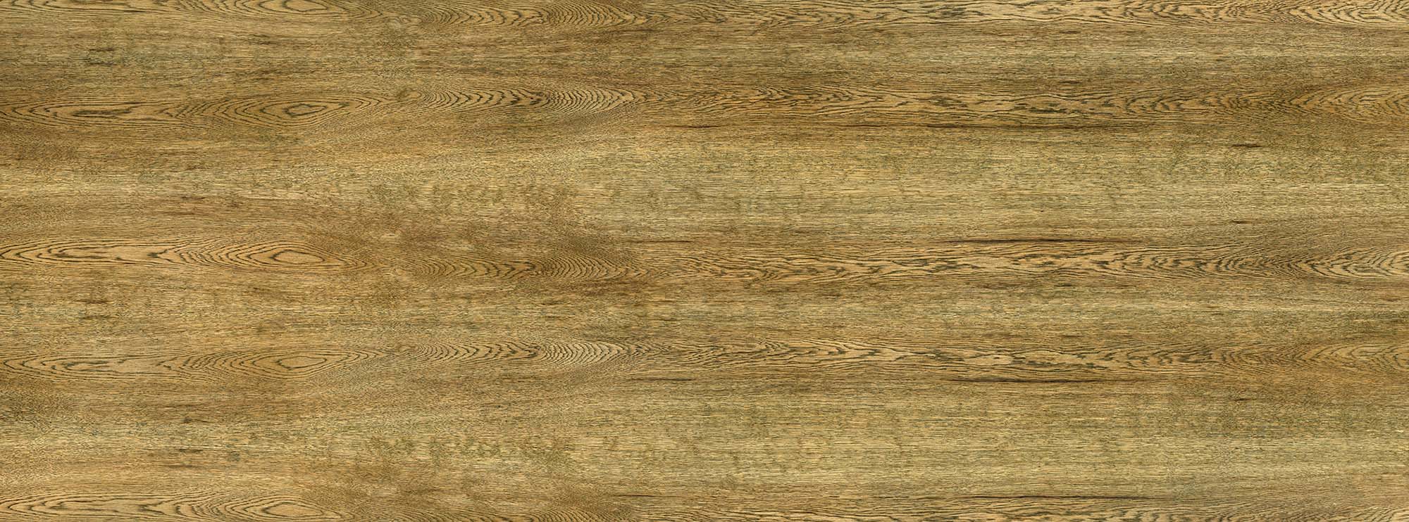 Coloured Wood Textures