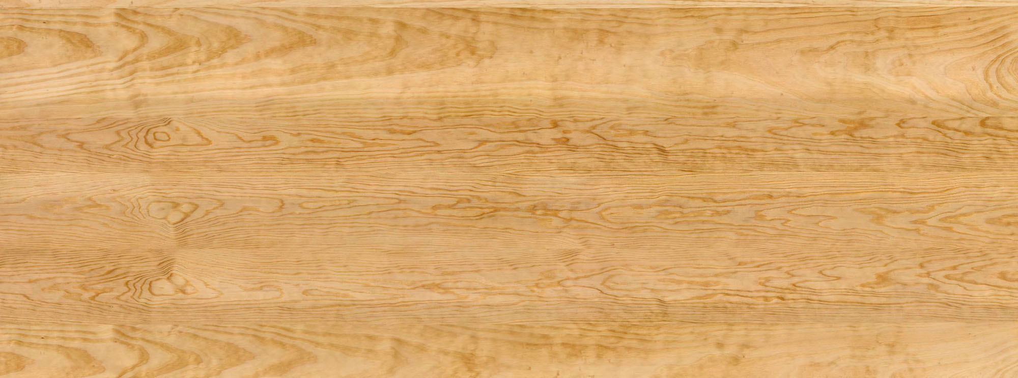 Pine Wood Textures