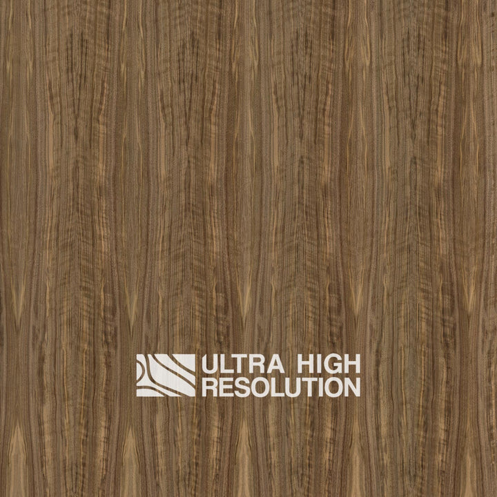 American Black Walnut Wood Natural Texture (701cm x 356cm)