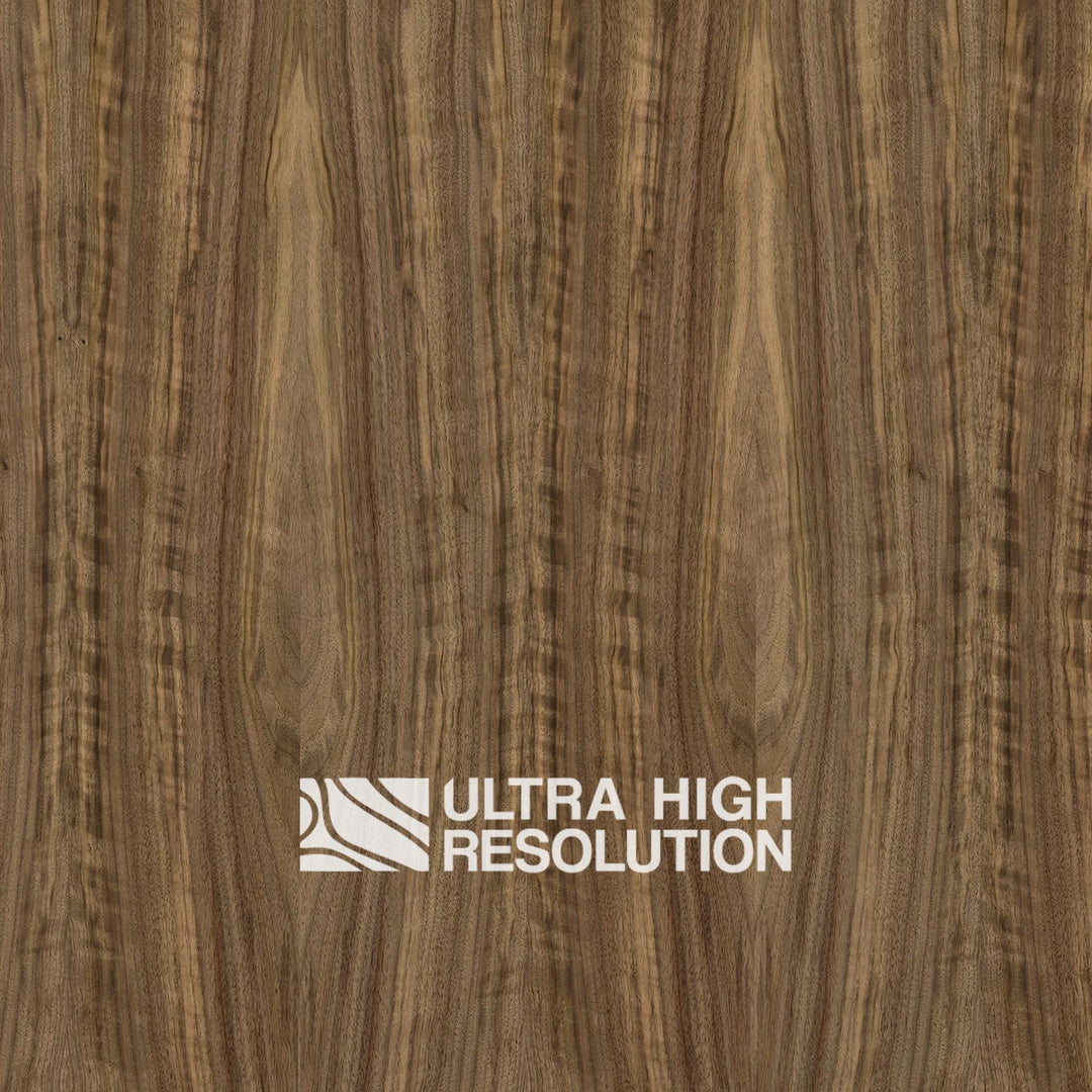 American Black Walnut Wood Natural Texture (701cm x 356cm)