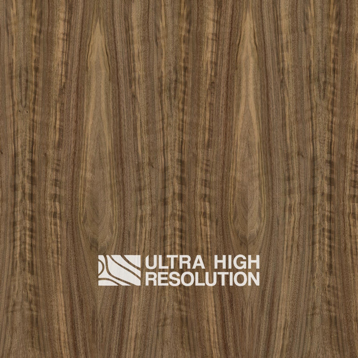 American Black Walnut Wood Natural Texture (701cm x 356cm)