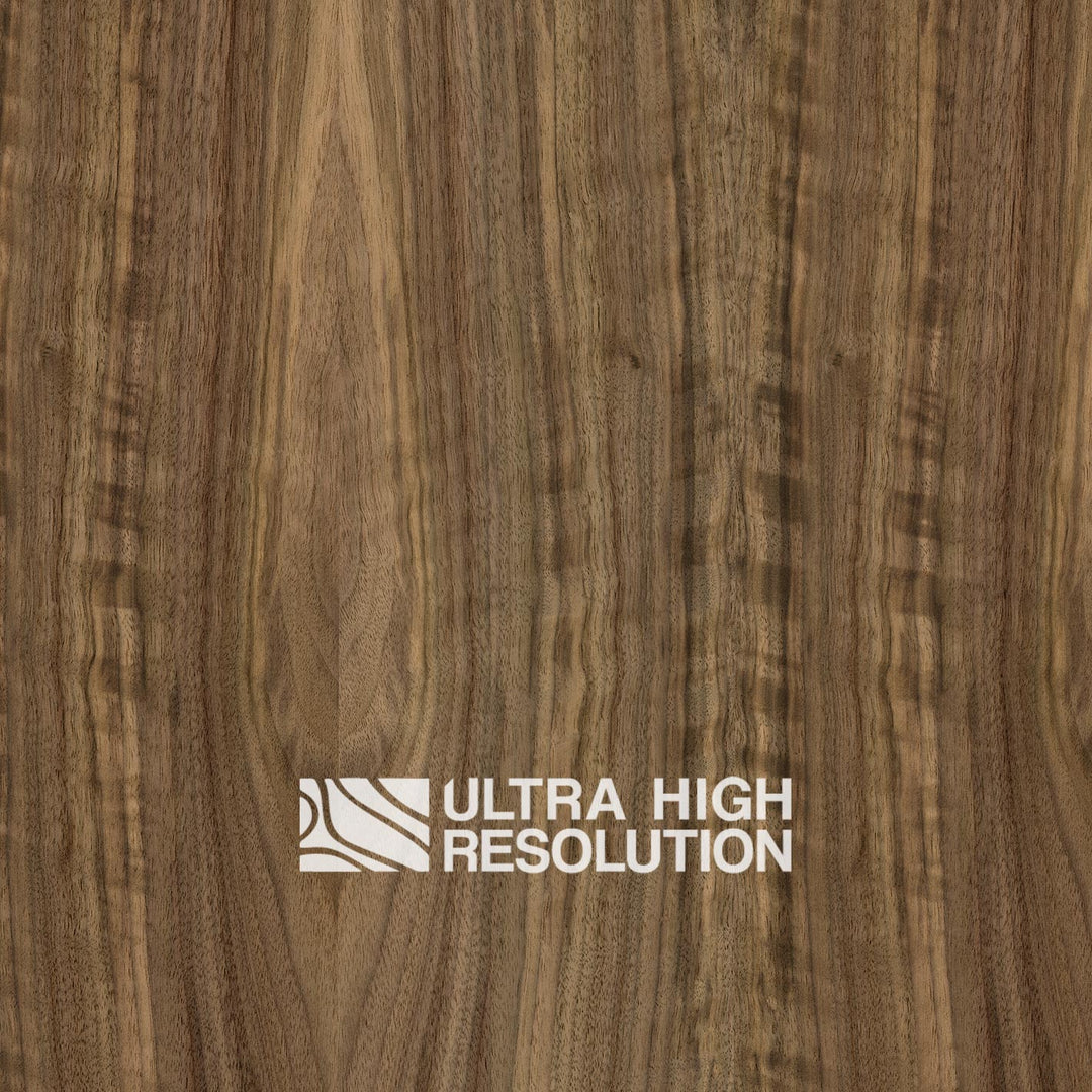 American Black Walnut Wood Natural Texture (701cm x 356cm)