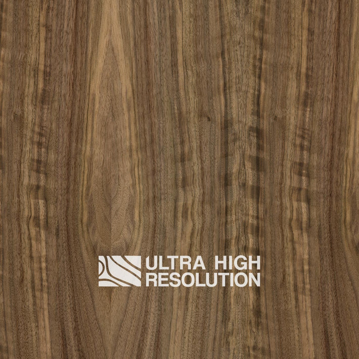 American Black Walnut Wood Natural Texture (701cm x 356cm)