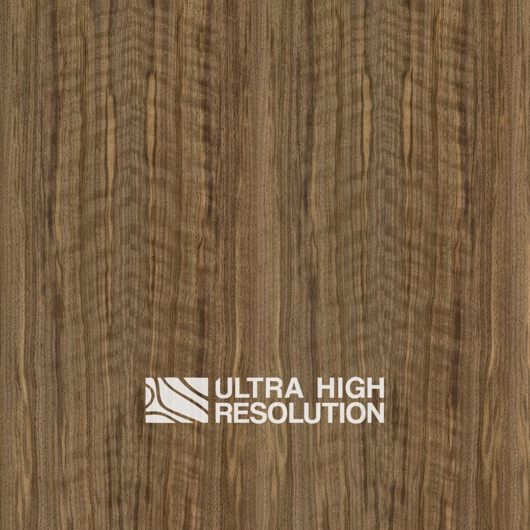 American Black Walnut Wood Natural Texture (701cm x 356cm)