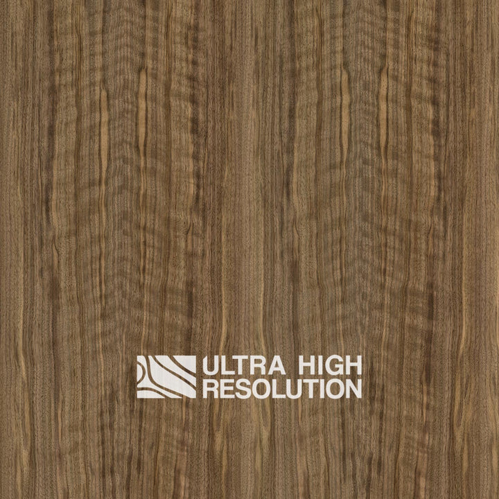 American Black Walnut Wood Natural Texture (701cm x 356cm)