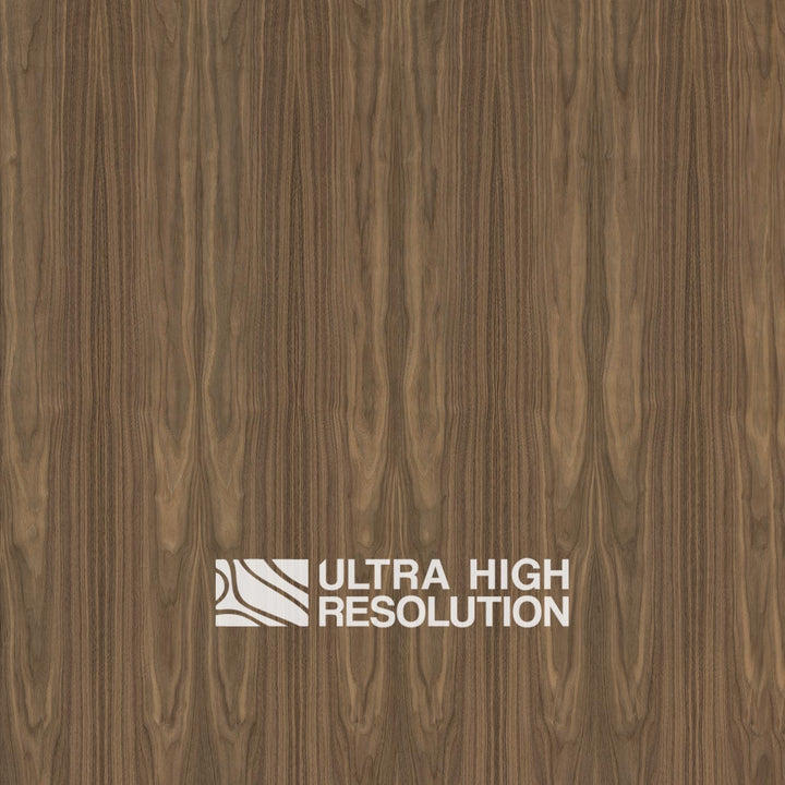 American Black Walnut Wood Natural Texture (699cm x 359cm)