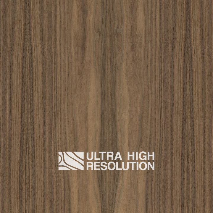 American Black Walnut Wood Natural Texture (699cm x 359cm)