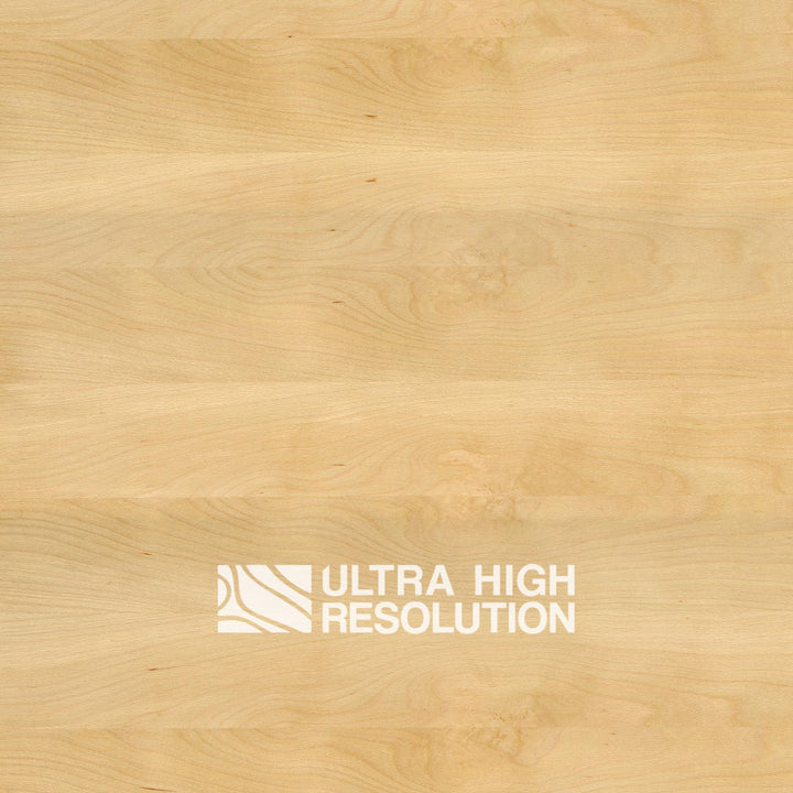 Beech Veneer Texture (706cm x 326cm)