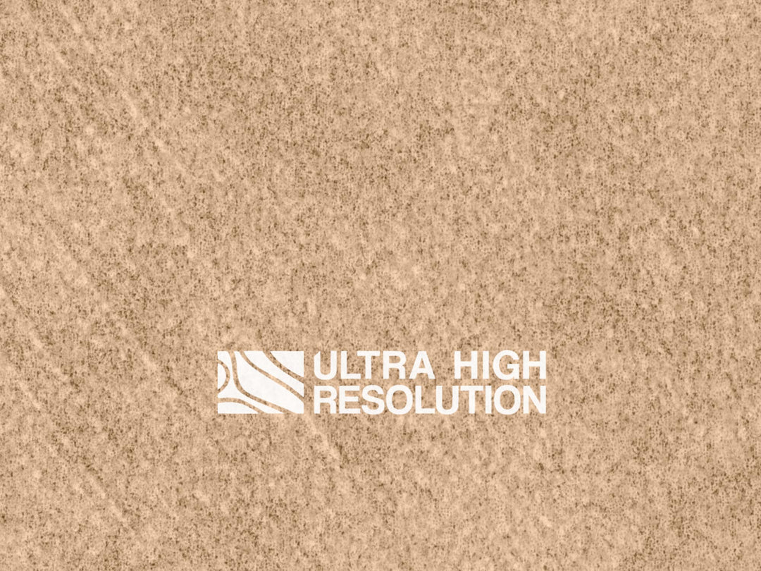 Beige Matte Plaster Surface (315cm x 259cm)