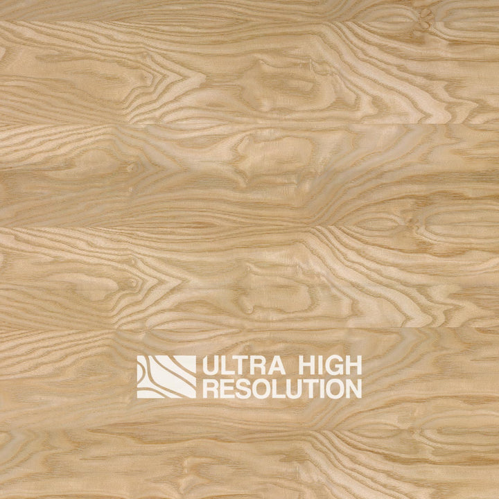 Blonde Figured Ash Veneer (675cm x 237cm)