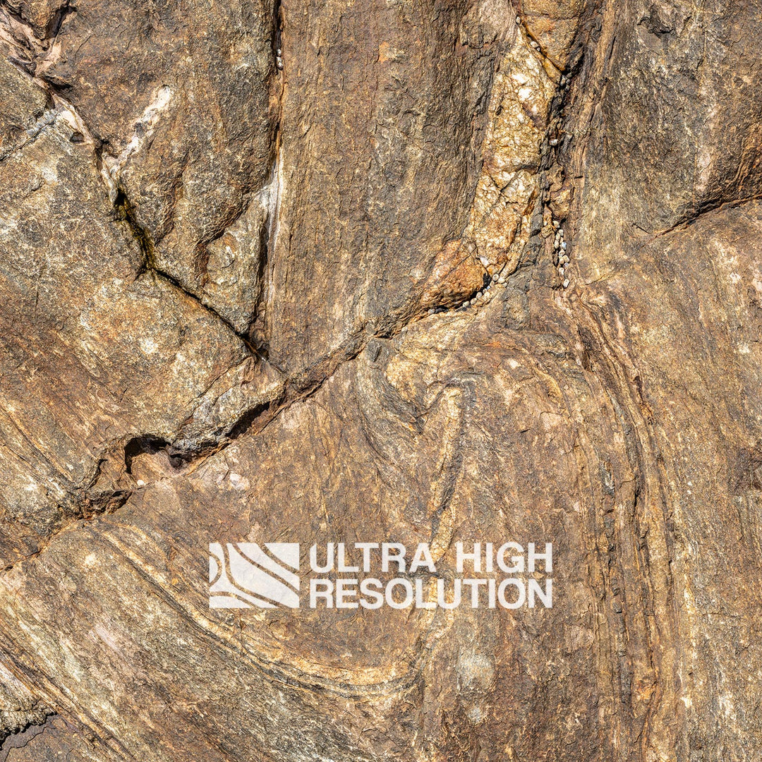 Brown Folded Metamorphic Rock Texture (334cm x 147cm)