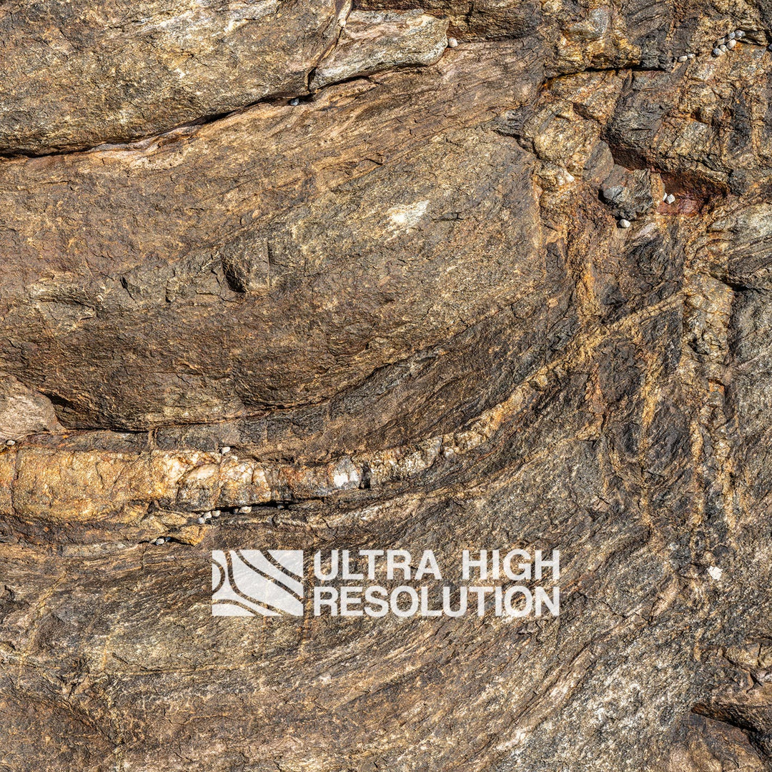 Brown Folded Metamorphic Rock Texture (334cm x 147cm)