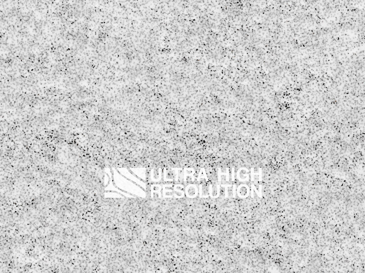 Brushed Light Grey Concrete (660cm x 261cm)
