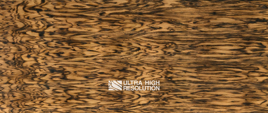 Charred Oak Wood with Burnt Grain Texture (692cm x 293cm)