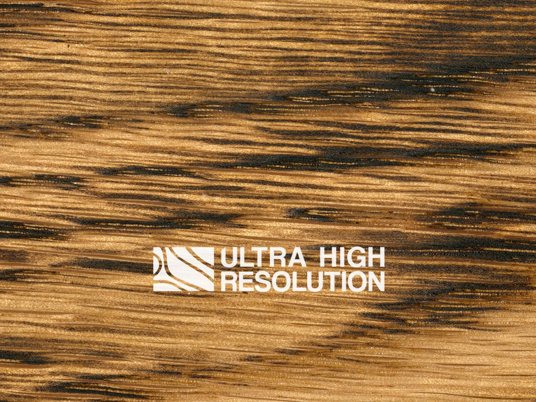 Charred Oak Wood with Burnt Grain Texture (692cm x 293cm)