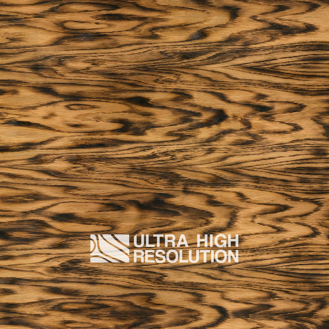 Charred Oak Wood with Burnt Grain Texture (692cm x 293cm)