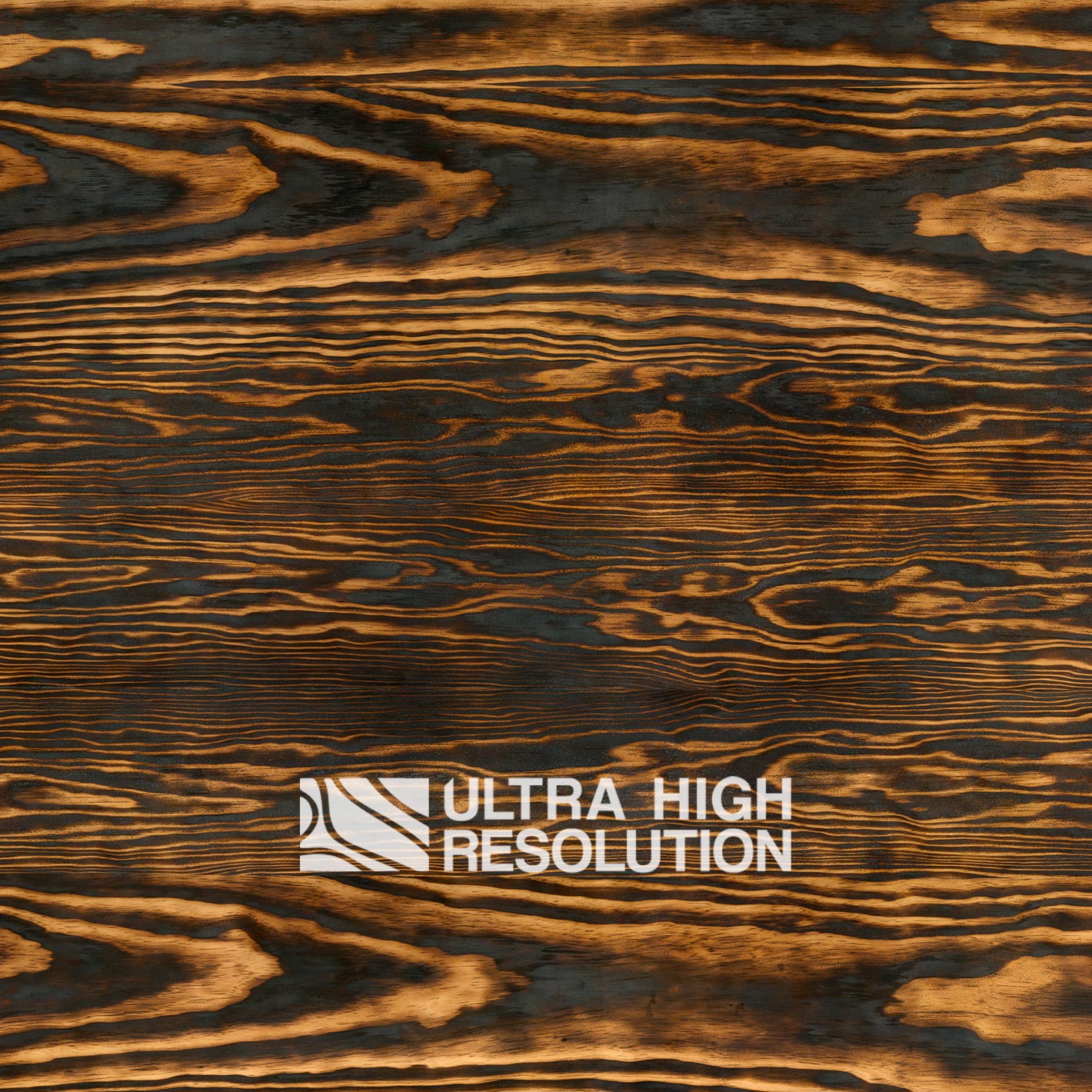 Charred Pine Wood Texture (697cm x 298cm) – Ultra High Resolution