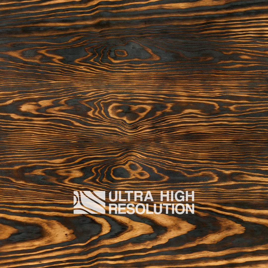 Charred Pine Wood Texture (697cm x 298cm)