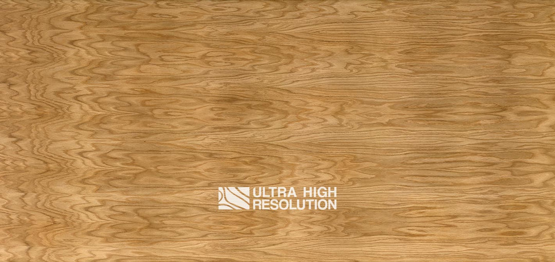 Crown-Cut Oak Veneer Texture (702cm x 332cm)