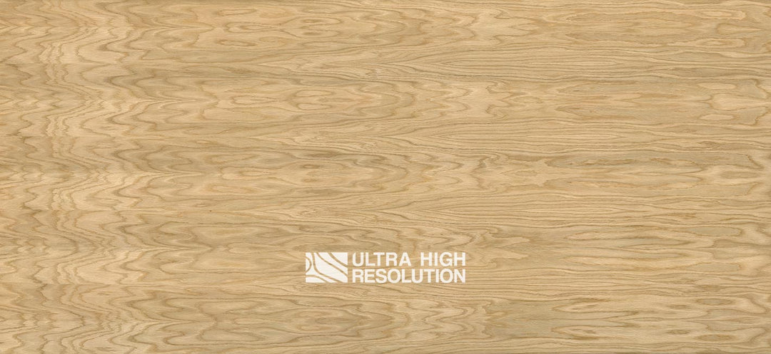 Crown-Cut Oak Veneer Texture (704cm x 324cm)