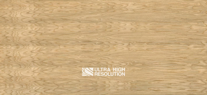 Crown-Cut Oak Veneer Texture (704cm x 324cm)