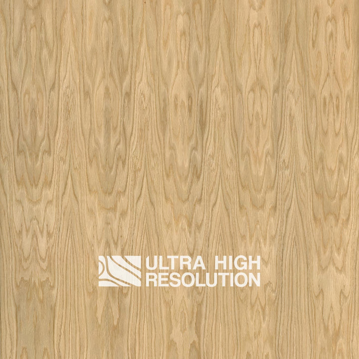 Crown-Cut Oak Veneer Texture (704cm x 324cm)