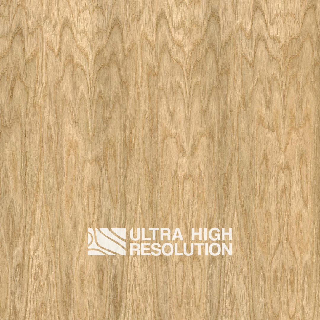 Crown-Cut Oak Veneer Texture (704cm x 324cm)
