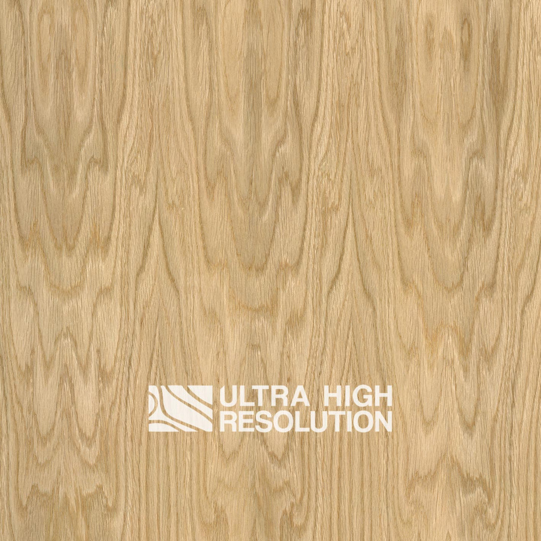 Crown-Cut Oak Veneer Texture (704cm x 324cm)