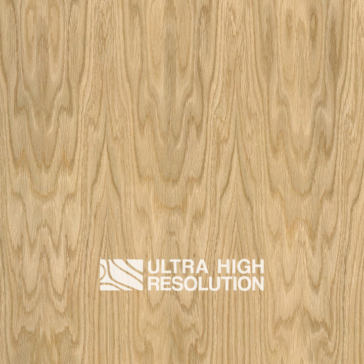 Crown-Cut Oak Veneer Texture (704cm x 324cm)
