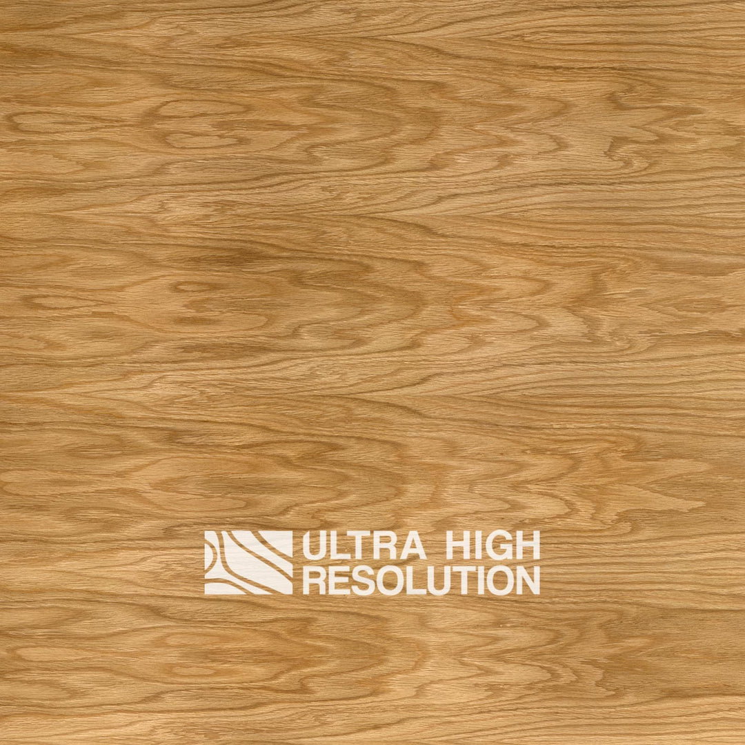 Crown-Cut Oak Veneer Texture (702cm x 332cm)