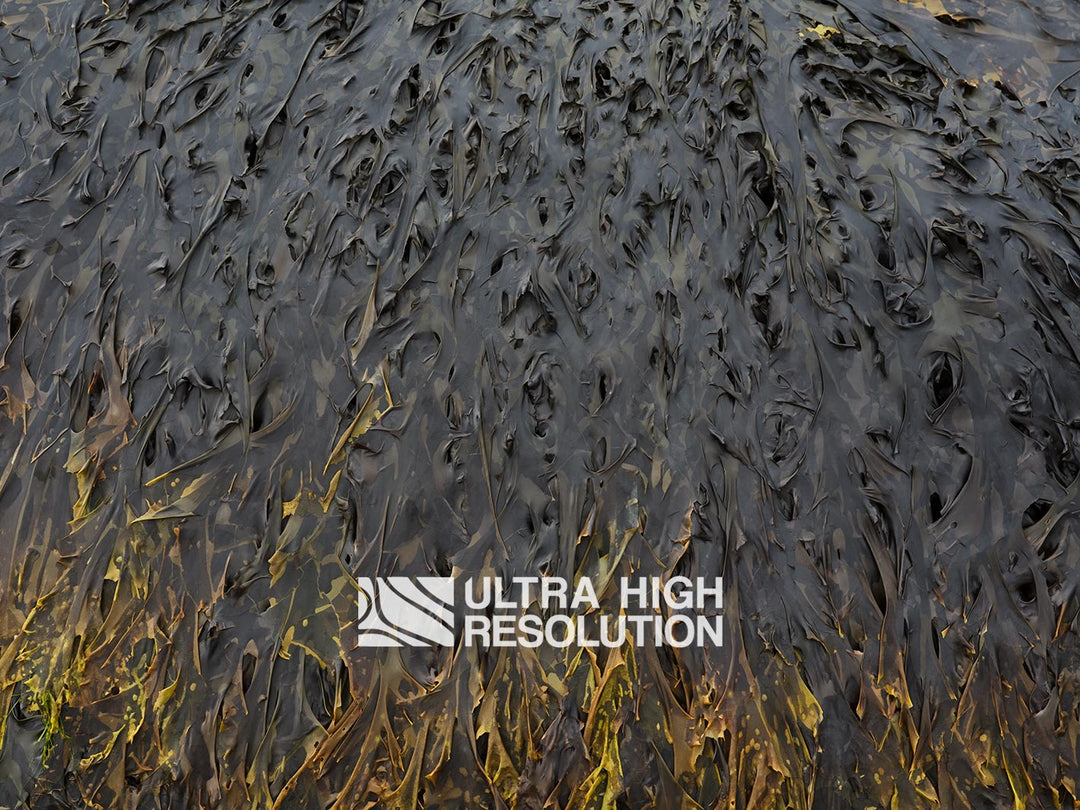 Dark Grey Folded Kelp Mat Texture (271cm x 203cm)