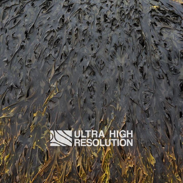 Dark Grey Folded Kelp Mat Texture (271cm x 203cm)