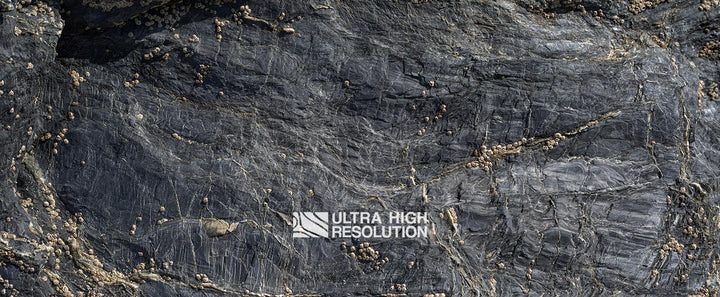 Dark Grey Spiderweb Veined Rock Texture (106cm x 44cm)