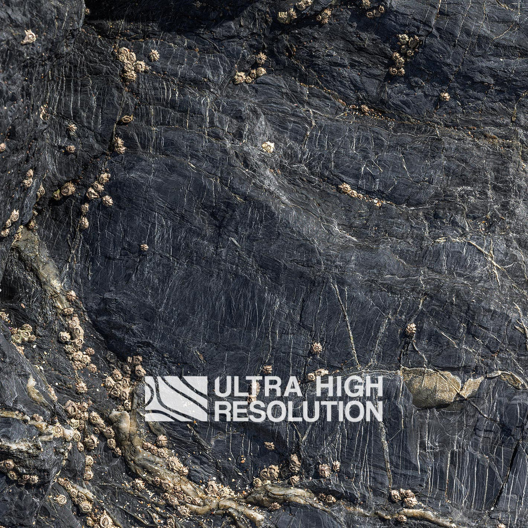 Dark Grey Spiderweb Veined Rock Texture (106cm x 44cm)