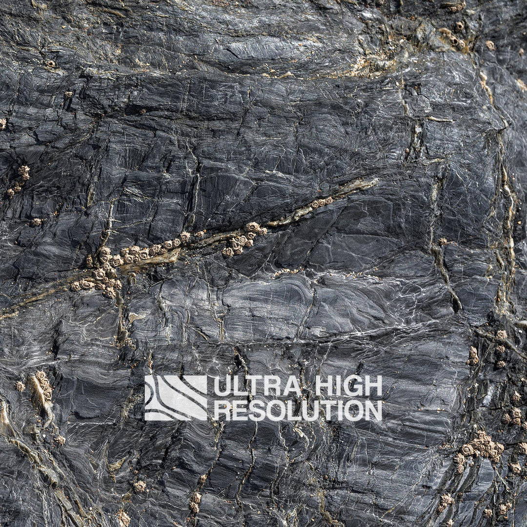 Dark Grey Spiderweb Veined Rock Texture (106cm x 44cm)