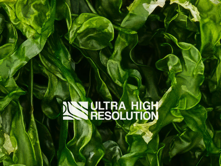 Forest Green Ruffled Seaweed Texture (271cm x 203cm)
