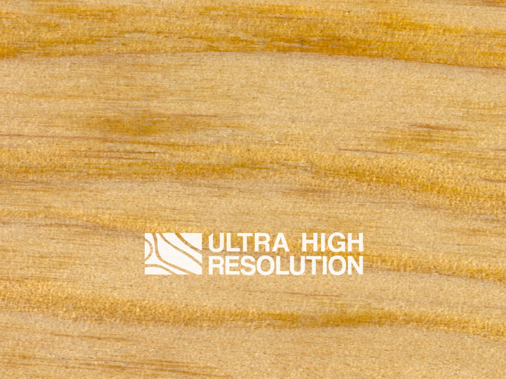 Golden Carolina Pine Texture (703cm x 329cm)