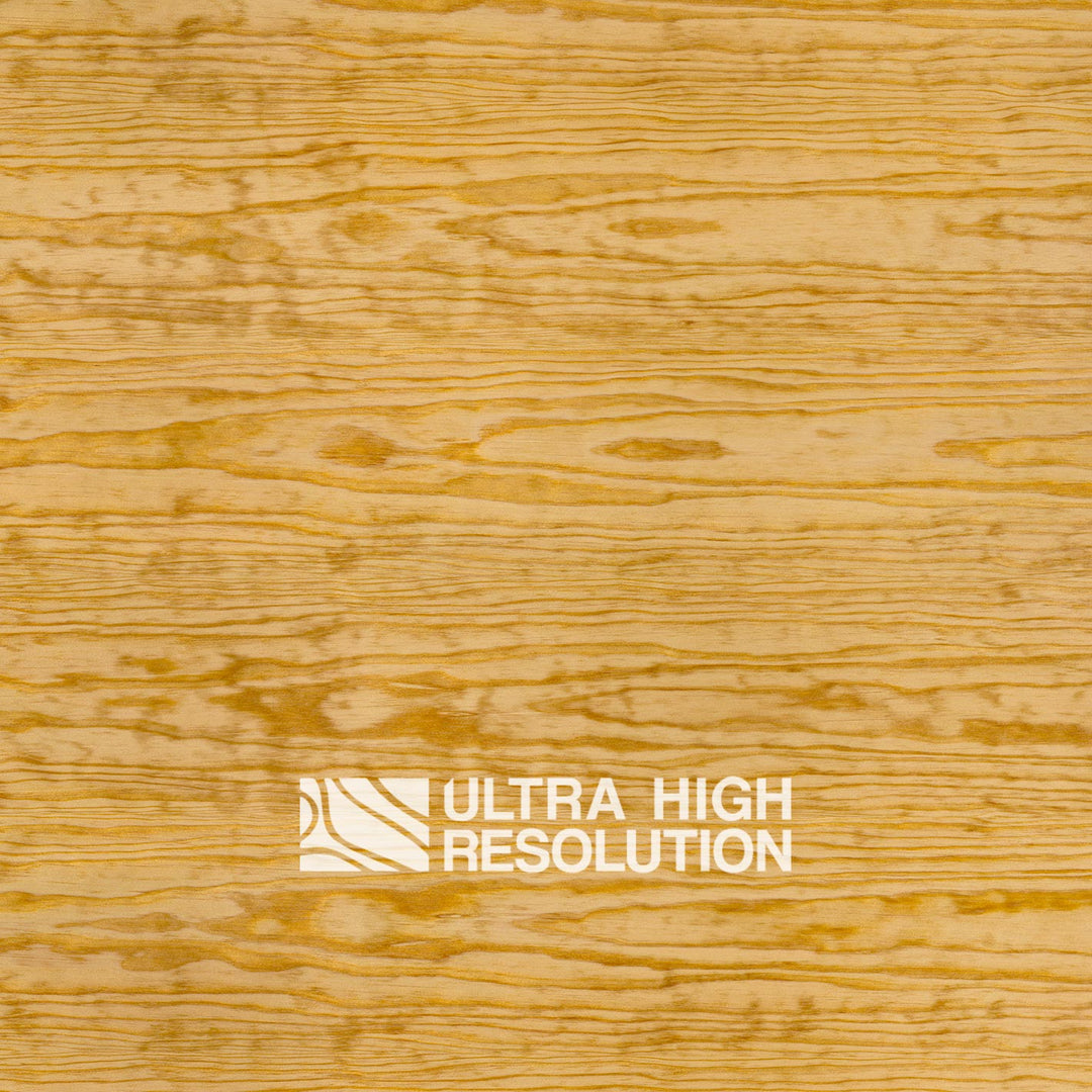 Golden Carolina Pine Texture (703cm x 329cm)