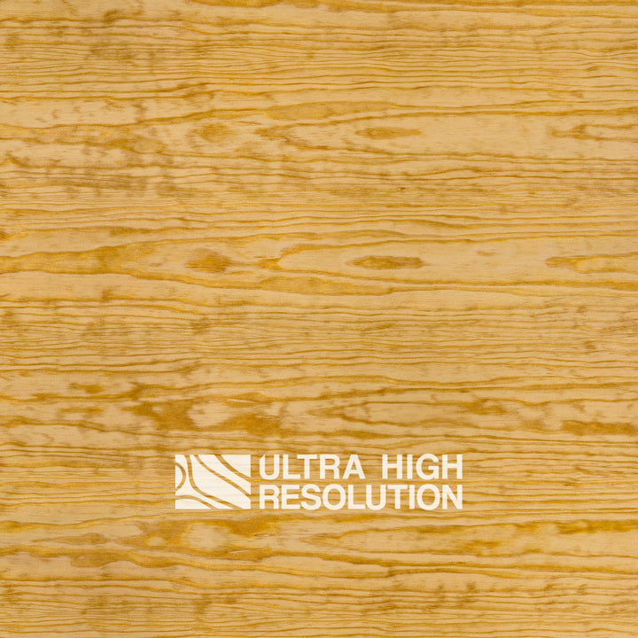 Golden Carolina Pine Texture (703cm x 329cm)