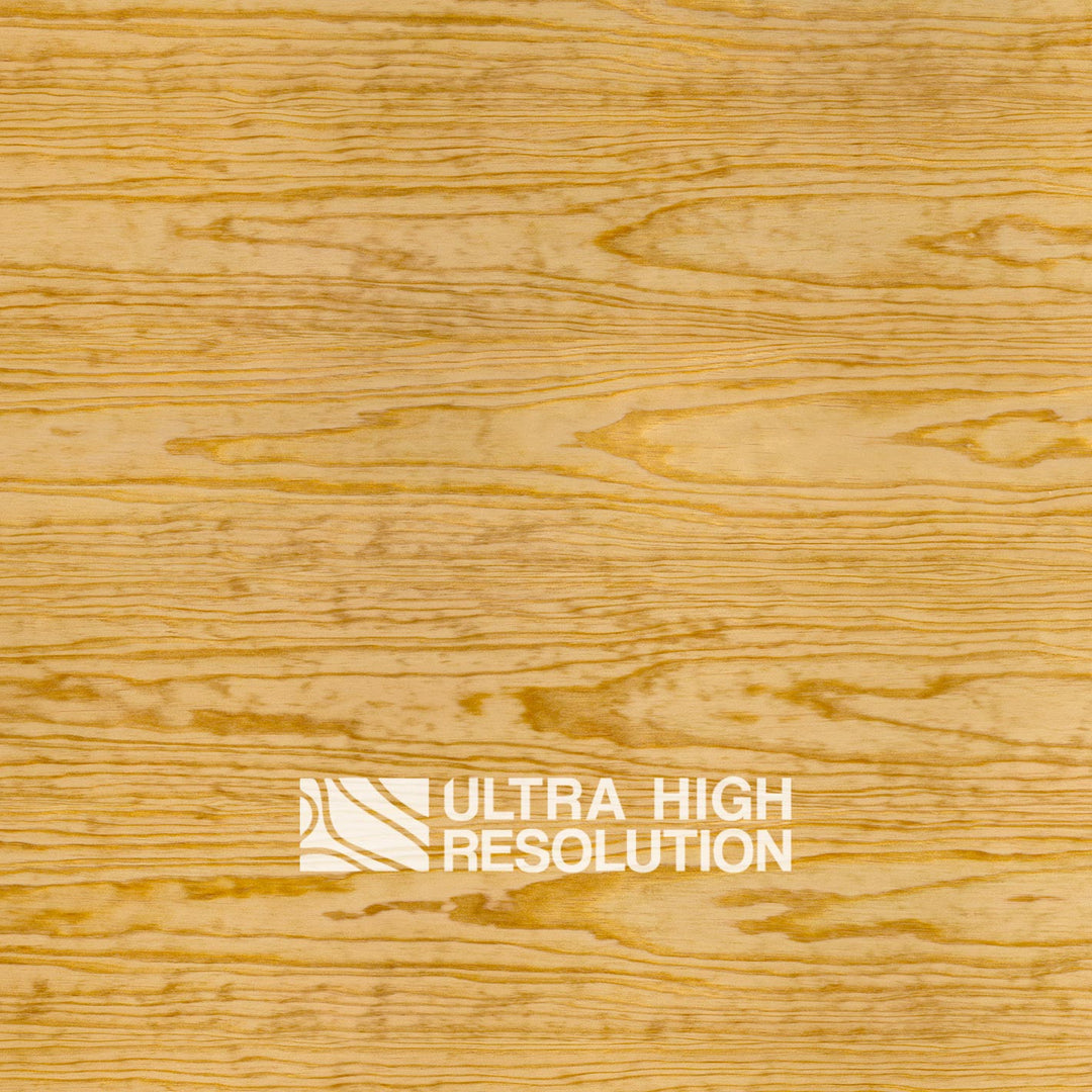 Golden Carolina Pine Texture (703cm x 329cm)