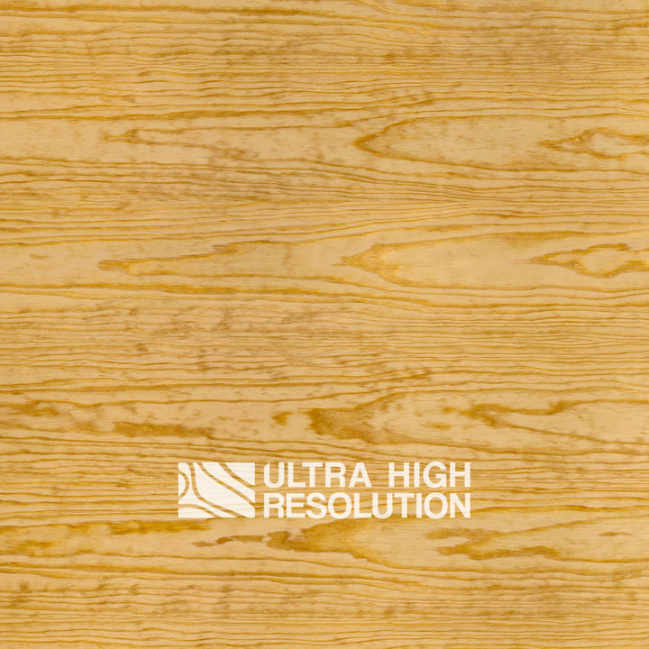 Golden Carolina Pine Texture (703cm x 329cm)