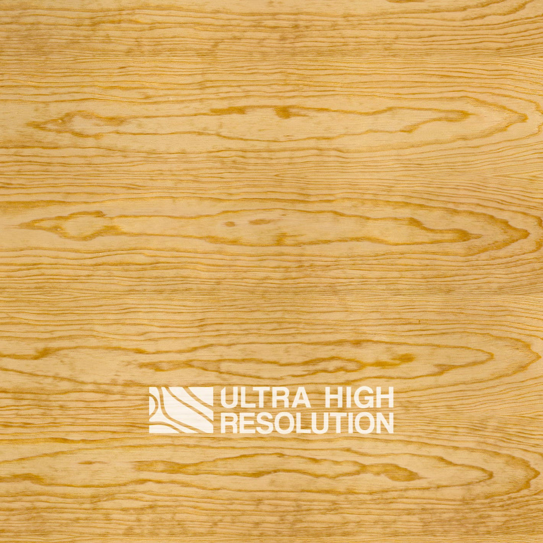 Golden Carolina Pine Texture (703cm x 329cm)