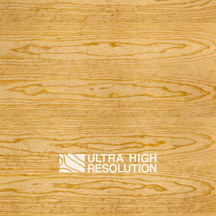 Golden Carolina Pine Texture (703cm x 329cm)