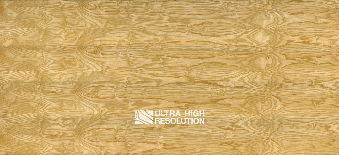 Golden Crown-Cut Oak (704cm x 322cm)