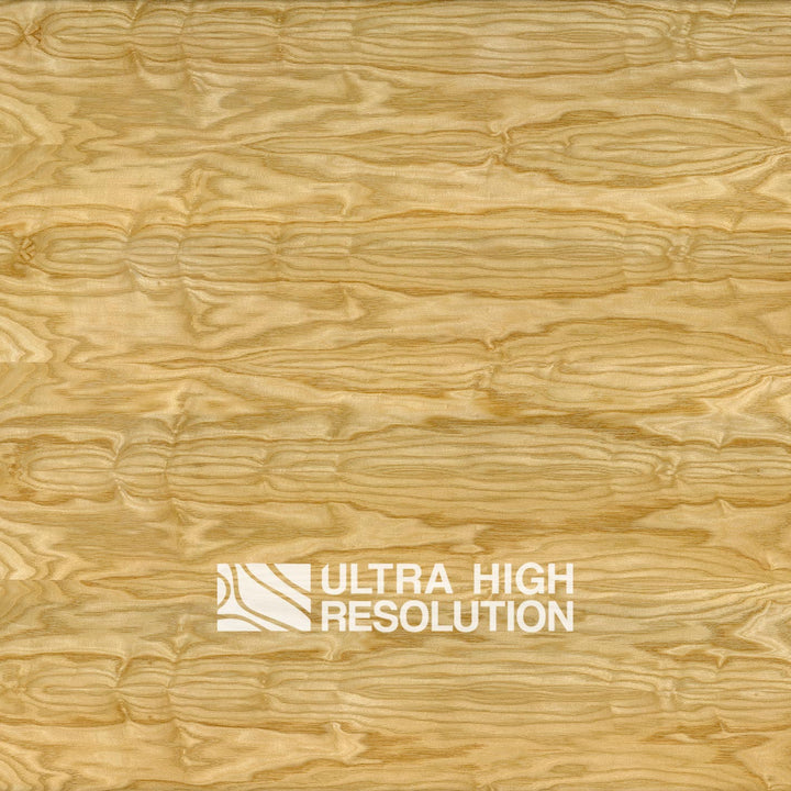 Golden Crown-Cut Oak (704cm x 322cm)