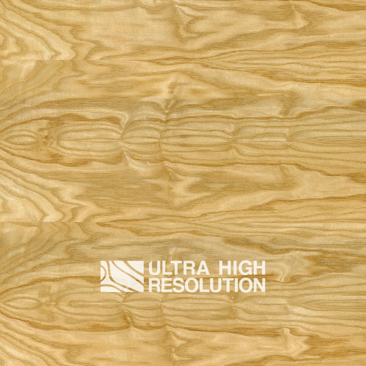 Golden Crown-Cut Oak (704cm x 322cm)