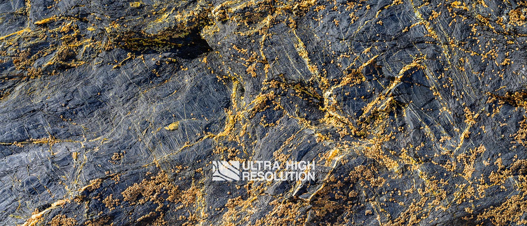 Grey Rock Texture with Amber Barnacles (342cm x 147cm)