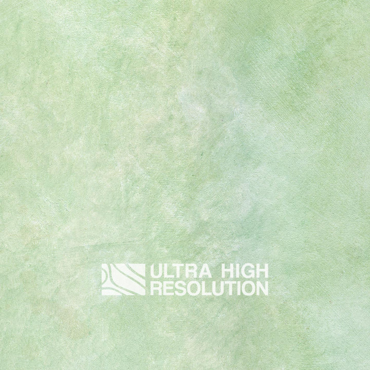 Light Green Plaster with Soft Matte Texture (342cm x 147cm)