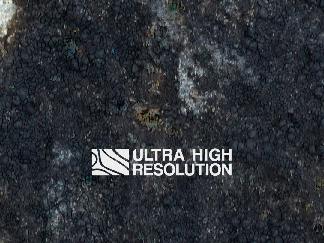 Light Grey Blotched Lichen Rock Texture (271cm x 203cm)
